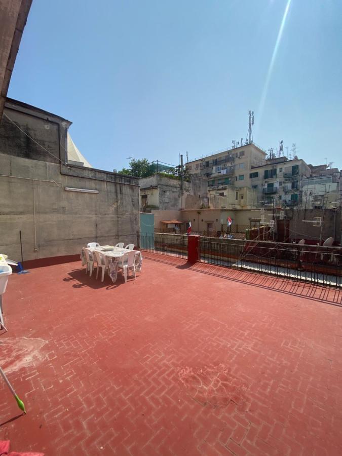 Apartment Solarium House