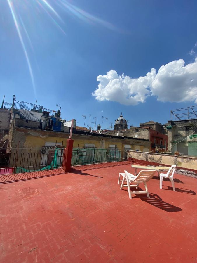 Solarium House * Naples